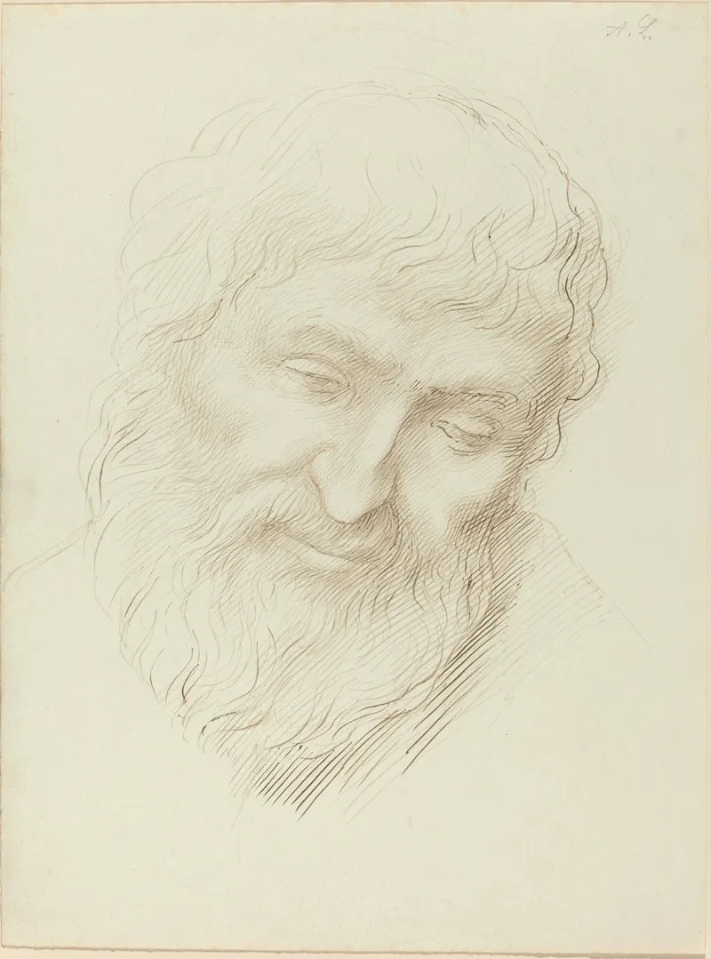 Head Of A Man 11