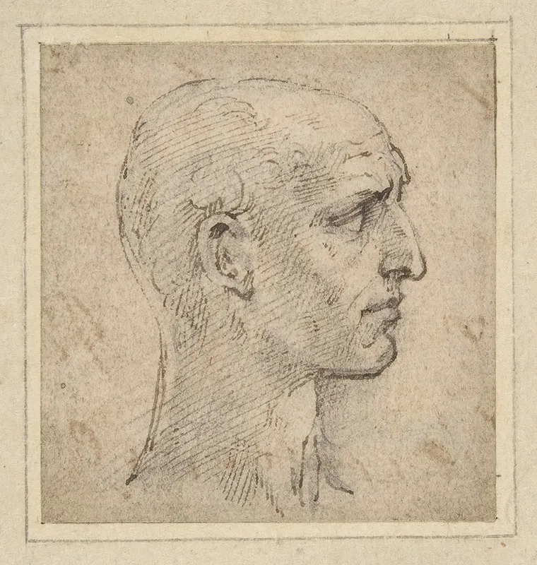Head Of A Man In Profile To Right