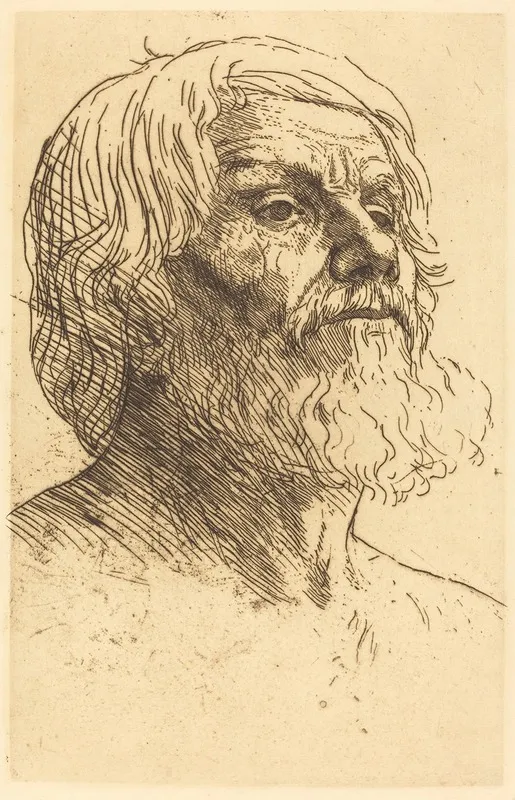 Head Of A Man Tete Dhomme Vi