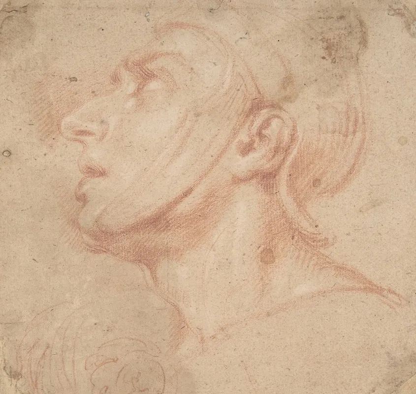 Head Of A Man Wearing A Helmet Looking To Upper Left Wall Art by Francesco di Maria - High-Resolution Digital Print
