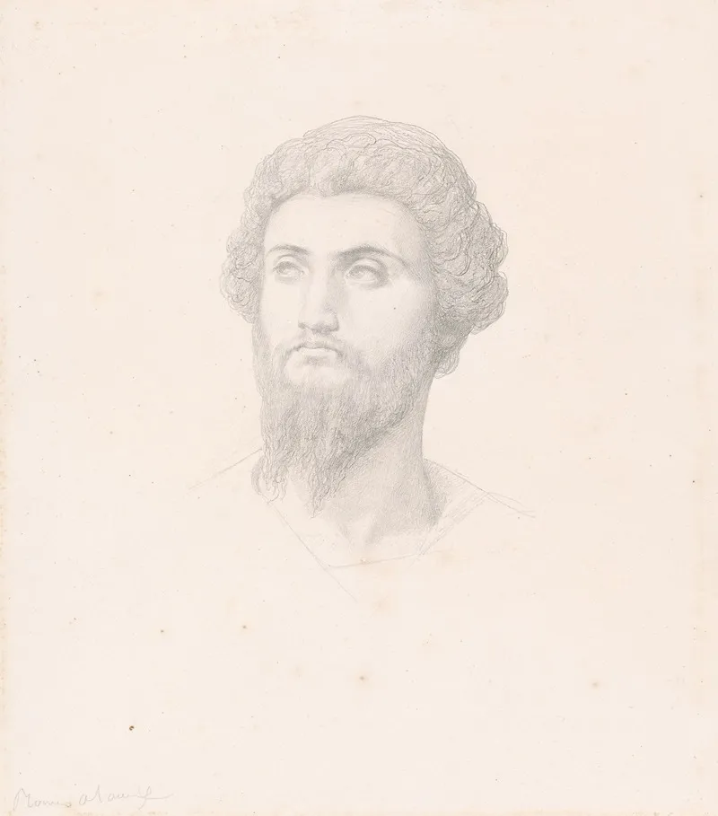 Head Of A Persian