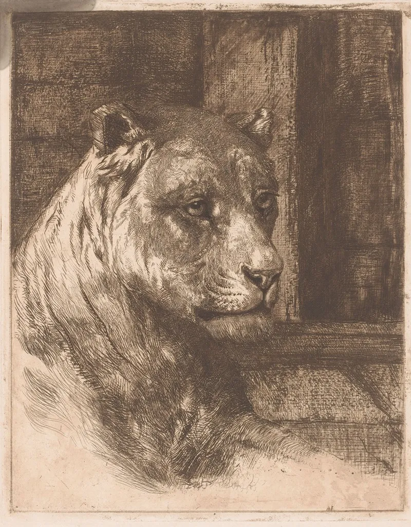 Head Of A Reclining Lioness 2 Wall Art by Joseph Schippers - High-Resolution Digital Print