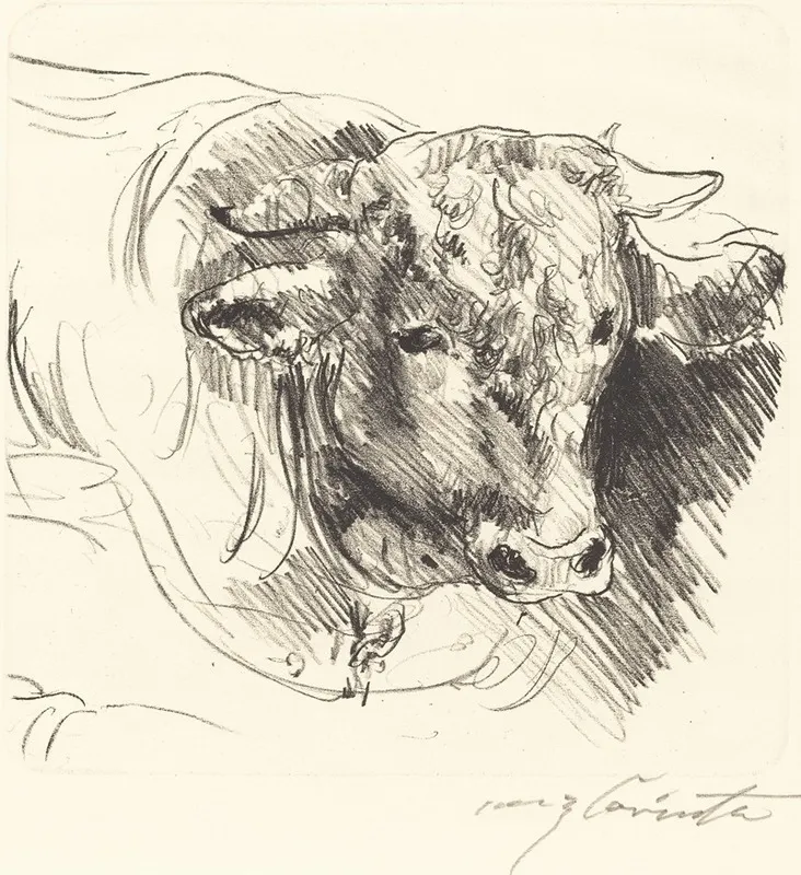 Head Of A Steer Stierkopf Wall Art by Lovis Corinth - High-Resolution Digital Print