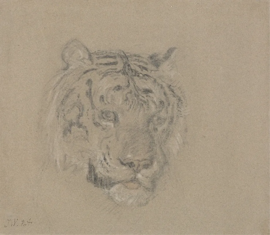 Head Of A Tiger Wall Art by James Ward - Canvas Print
