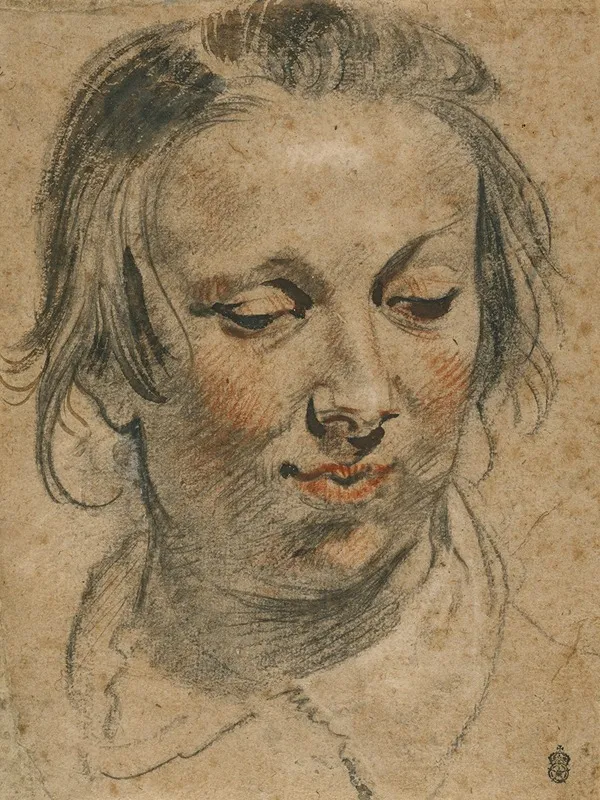 Head Of A Woman 25 Wall Art by Jacob Jordaens - High-Resolution Digital Print