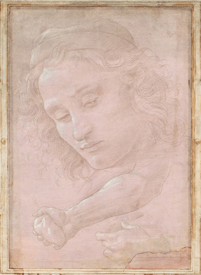 Head Of A Youth Wearing A Cap A Right Forearm With The Hand Clutching A Stone And A Left Hand Holding A Drapery Wall Art by Sandro Botticelli - High-Resolution Digital Print