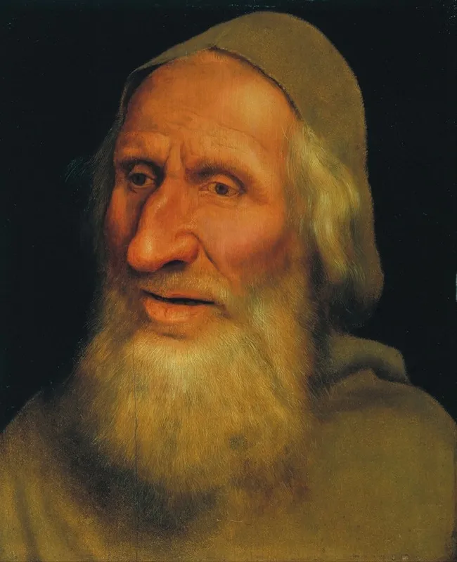 Head Of An Old Man 5 Wall Art by Quentin Massys - High-Resolution Digital Print