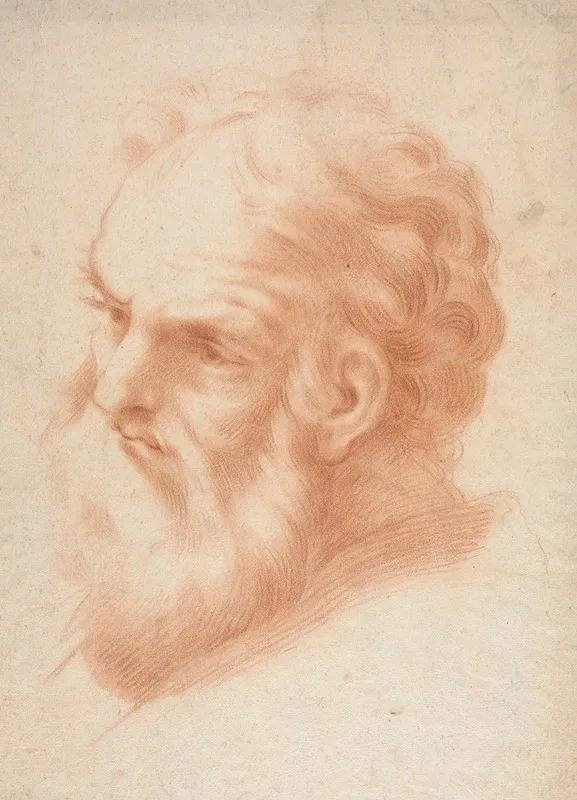 Head Of An Old Man 7