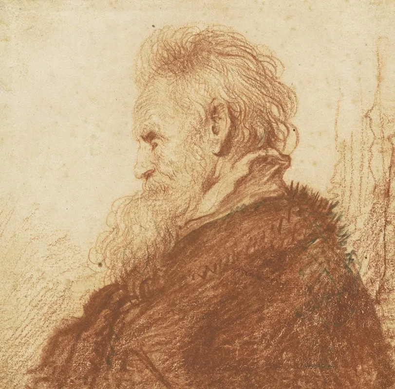 Head Of An Old Man Recto Wall Art by Rembrandt van Rijn - High-Resolution Digital Print