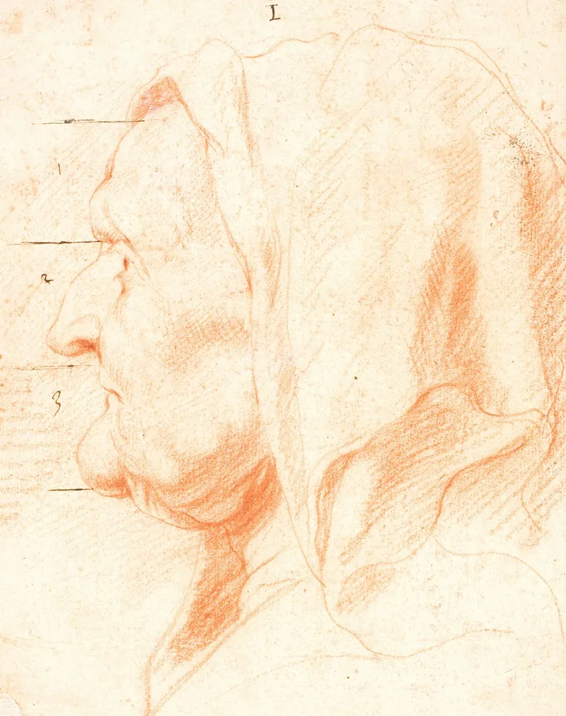 Head Of An Old Woman In Left Profile