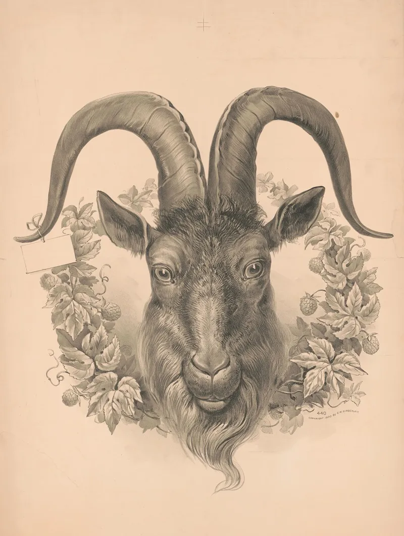 Head Of Goat Wall Art by C. W. Girsch - High-Resolution Digital Print