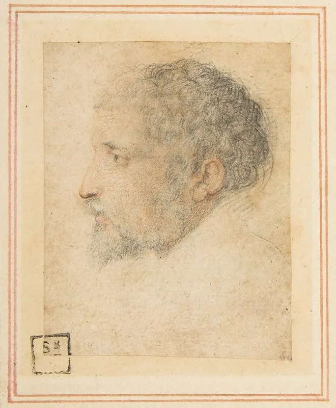 Head Of Man In Profile To Left