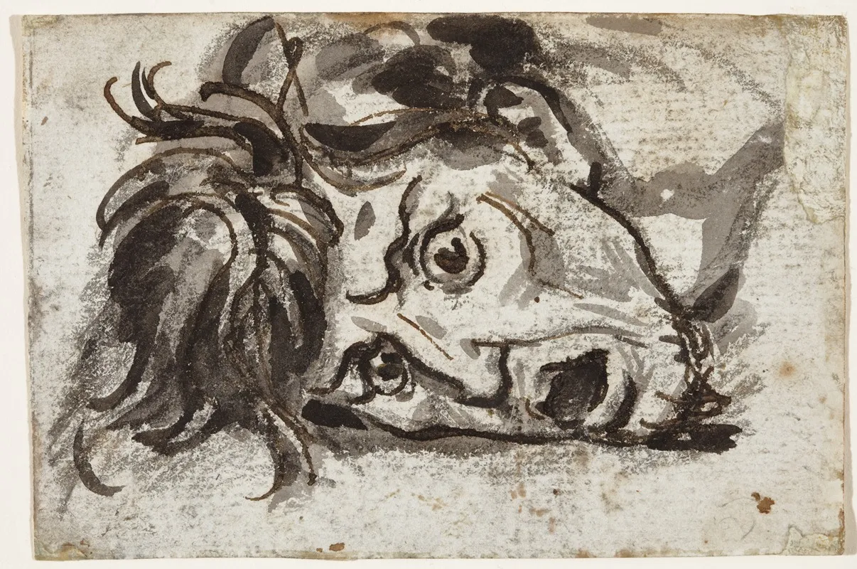Head Of Man Open Mouthed And Wide Eyed