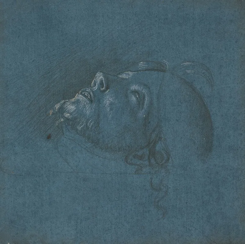 Head Of Saint John The Baptist 2 Wall Art by Francesco Marmitta - High-Resolution Digital Print