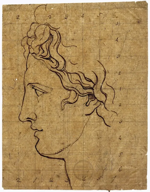 Head Of The Apollo Belvedere Seen In Profile