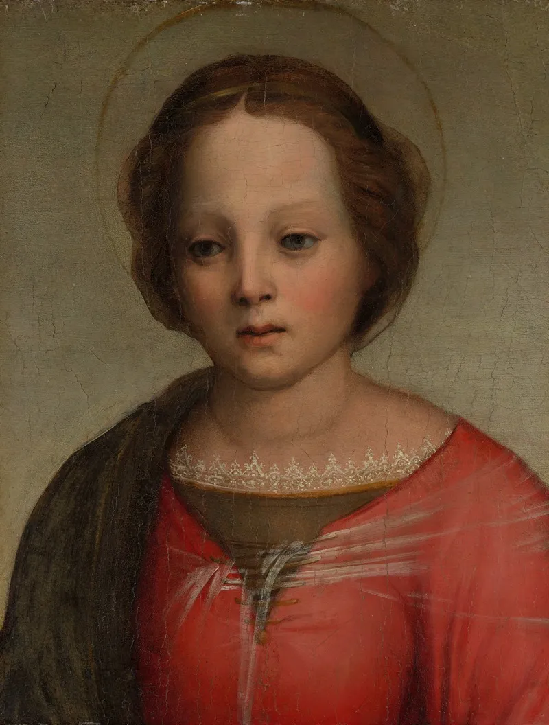 Head Of The Madonna Wall Art by Franciabigio - High-Resolution Digital Print