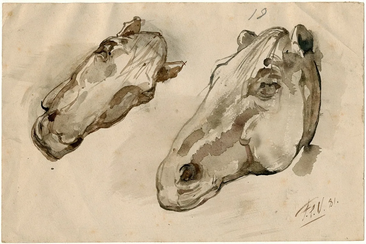Head Of Two Horses
