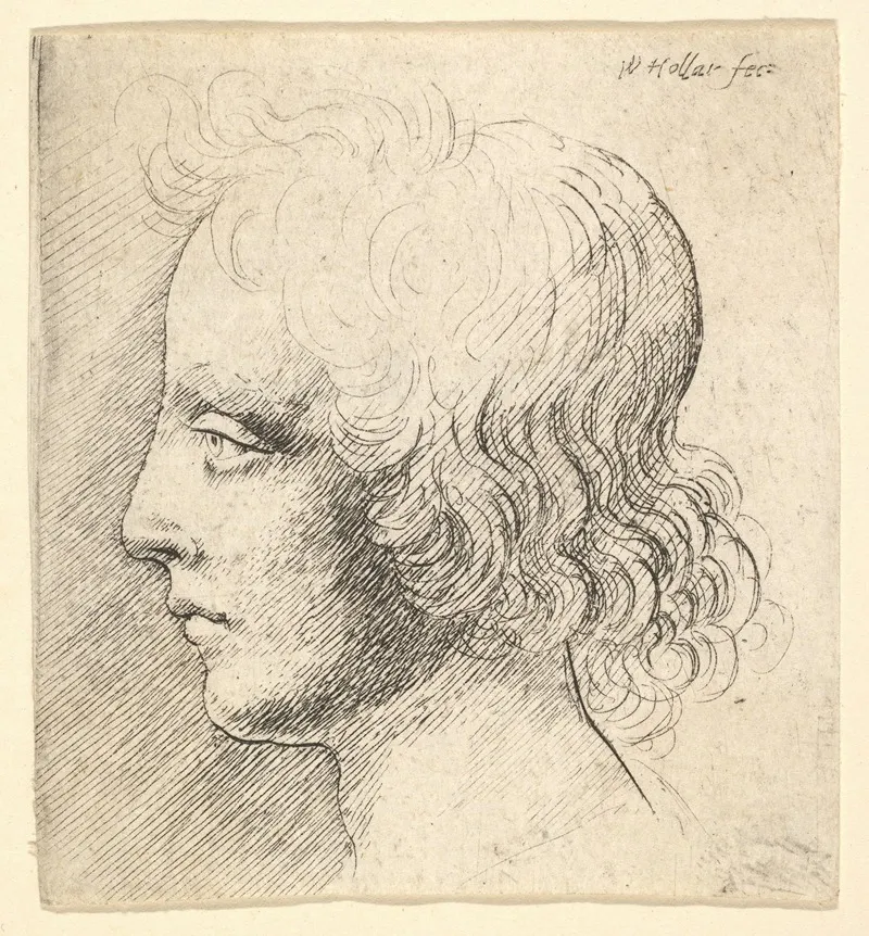 Head Of Young Man 2