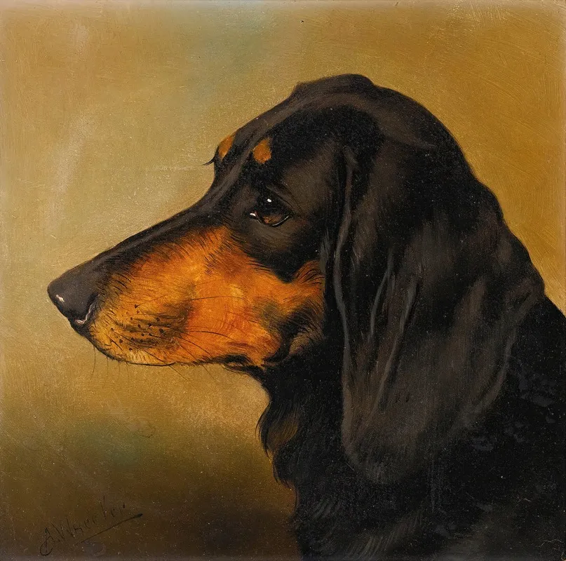 Head Study Of A Dachshund Wall Art by Alfred Wheeler - High-Resolution Digital Print