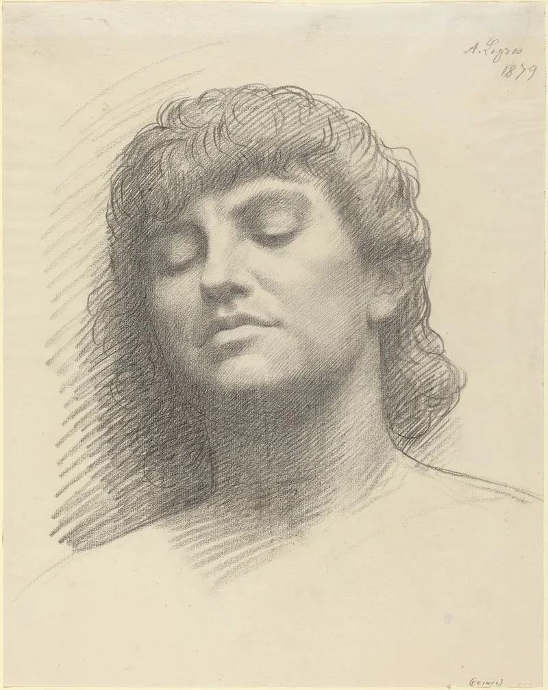 Head