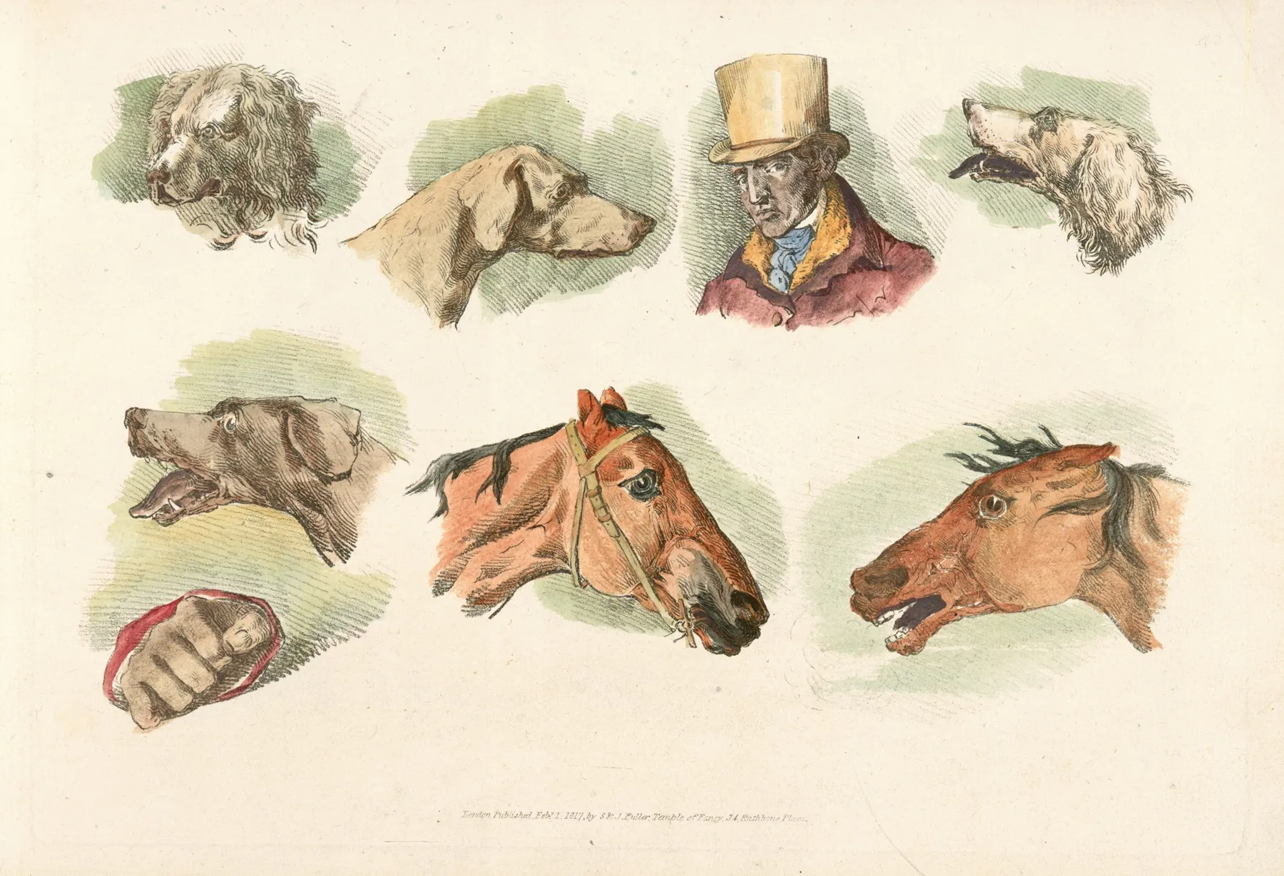 Heads Of Dogs Horses And Of A Man