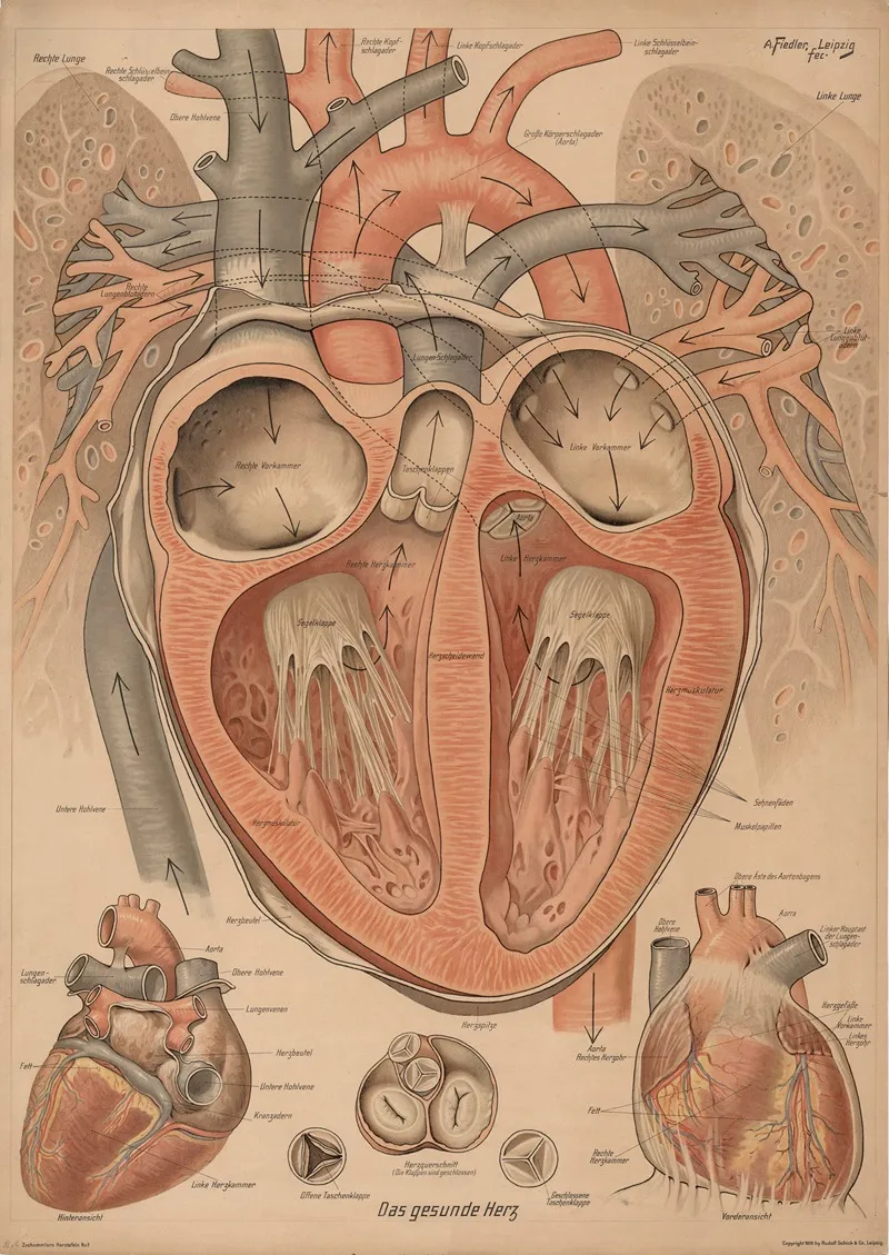 Healthy Heart