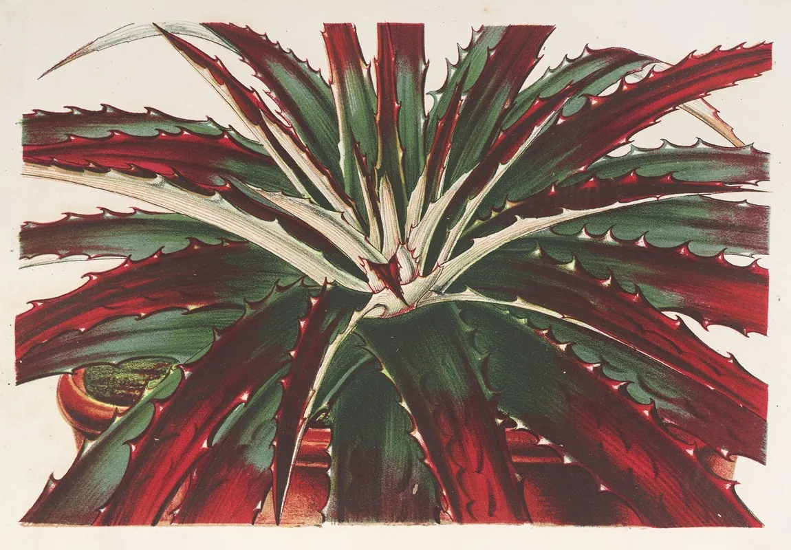 Hechtia Ghiesbreghtii Wall Art by Charles Antoine Lemaire - High-Resolution Digital Print