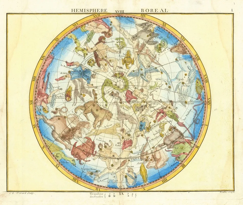 Hemisphere Boreal Wall Art by John Flamsteed - High-Resolution Digital Print