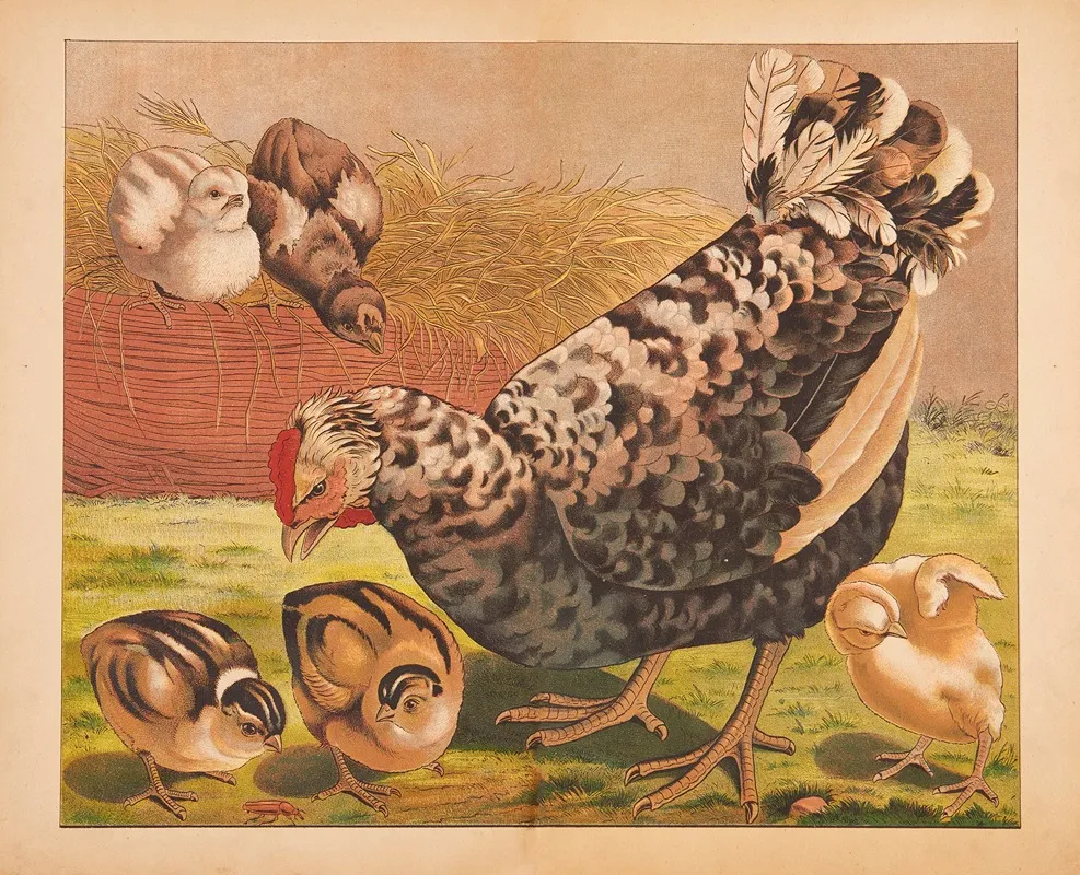 Hen And Chicks Wall Art by V. Oehmigke &amp; Riemschneider - High-Resolution Digital Print