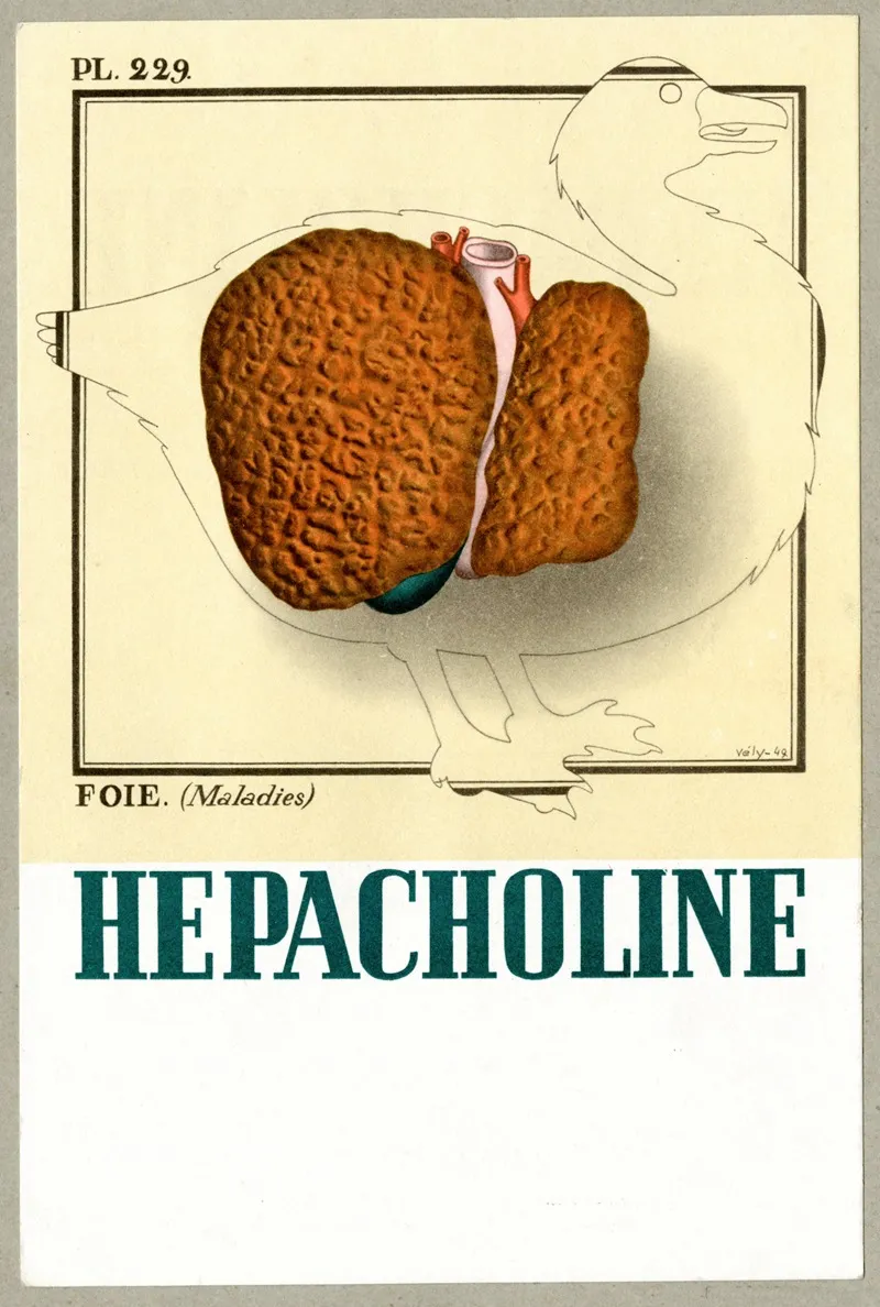 Hepacholine Wall Art by Laboratoires Robert &amp; Carrière - High-Resolution Digital Print