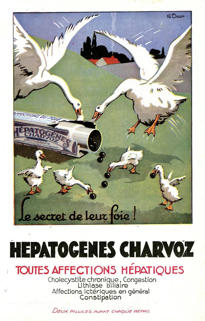 Hepatogenes Charvoz 2 Wall Art by A. Bazin - High-Resolution Digital Print
