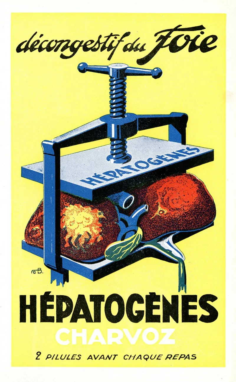 Hepatogenes Charvoz Wall Art by A. Bazin - High-Resolution Digital Print
