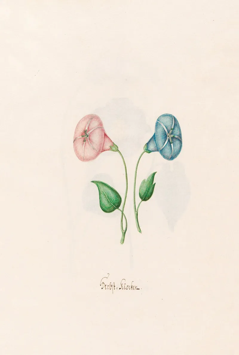 Herbst Klocken Wall Art by Magdelena Rosina Funck - High-Resolution Digital Print