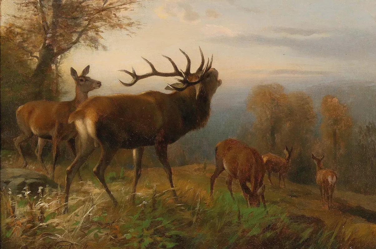 Herd Of Red Deer