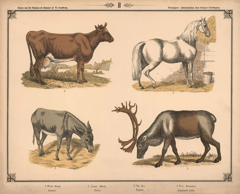 Hest Aesel Ko Og Rensdyr Wall Art by Fredrik Sandberg - High-Resolution Digital Print