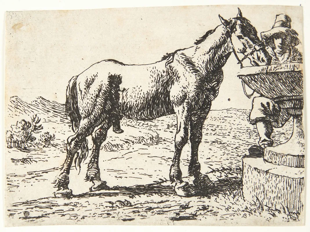 Hest Ved En Brond