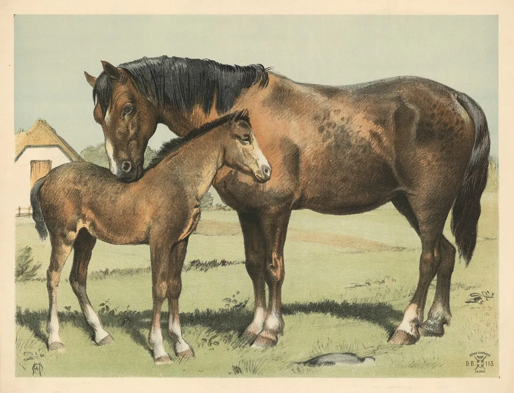 Hest