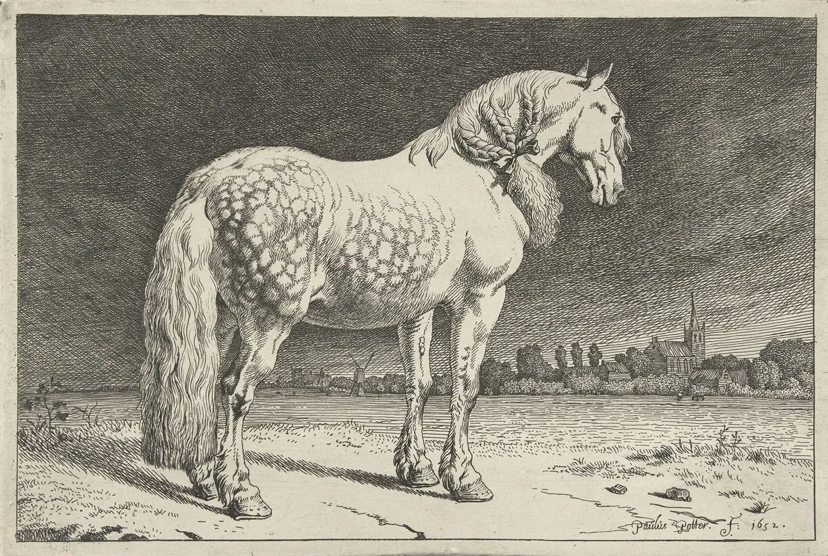 Het Friese Paard Paarden