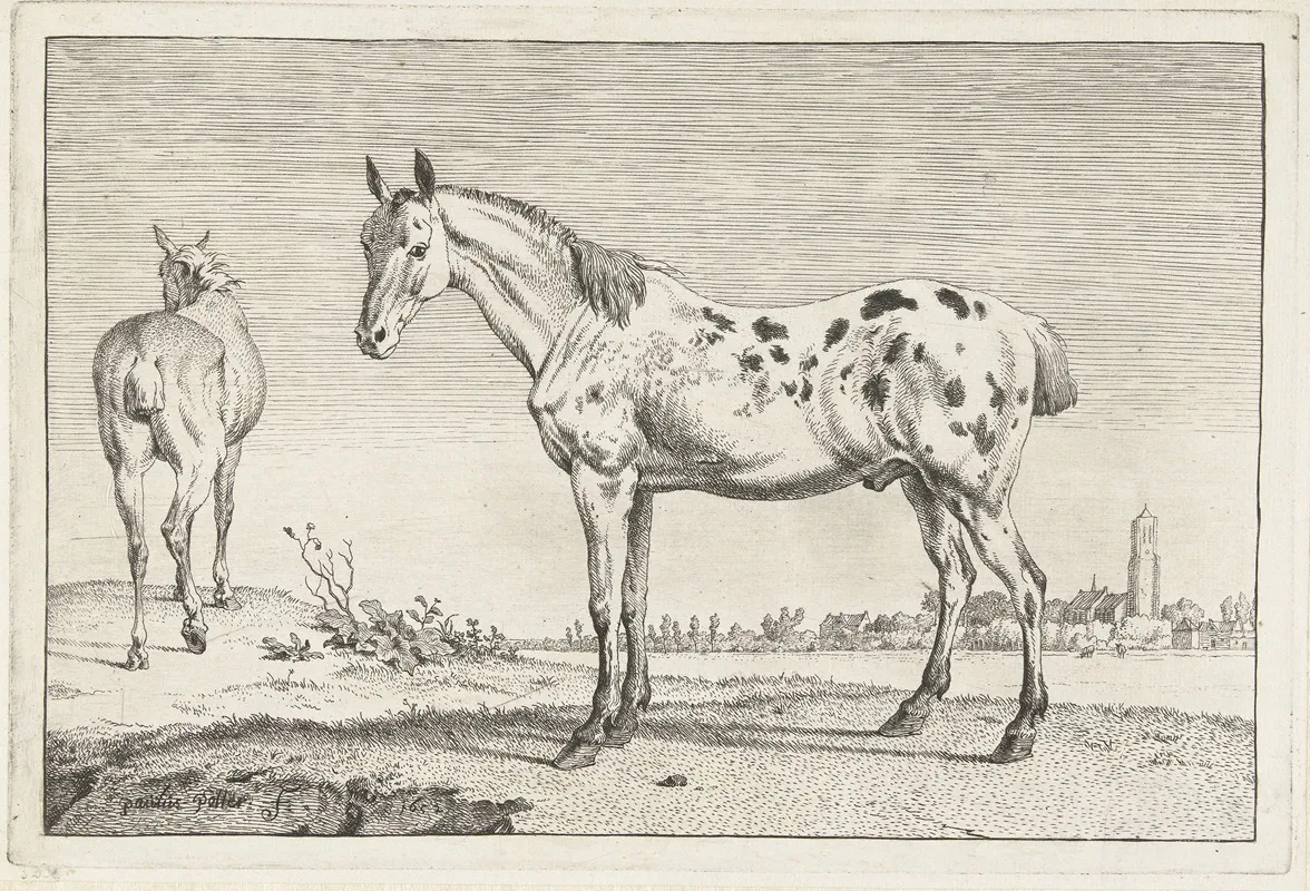 Het Gecoupeerde Paard Paarden