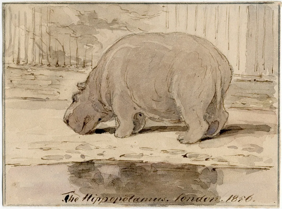 Het Nijlpaard In De Engelse Dierentuin 4