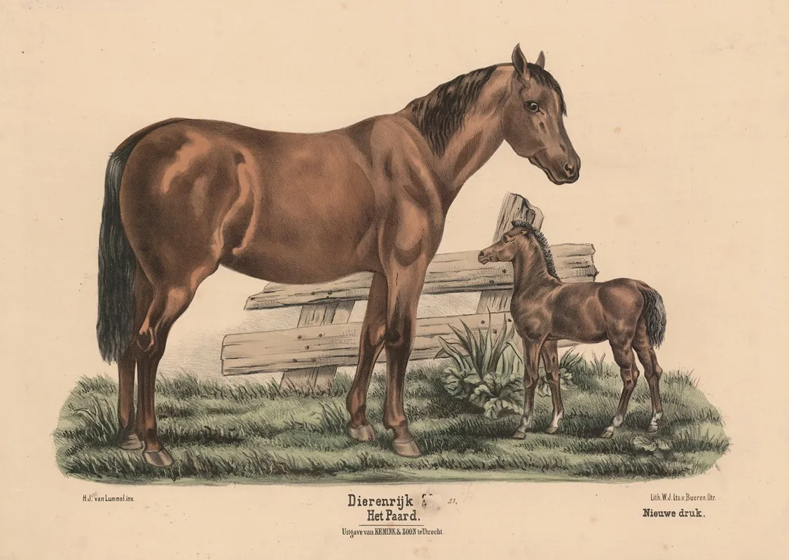 Het Paard 2 Wall Art by Hendrik Jan van Lummel - High-Resolution Digital Print