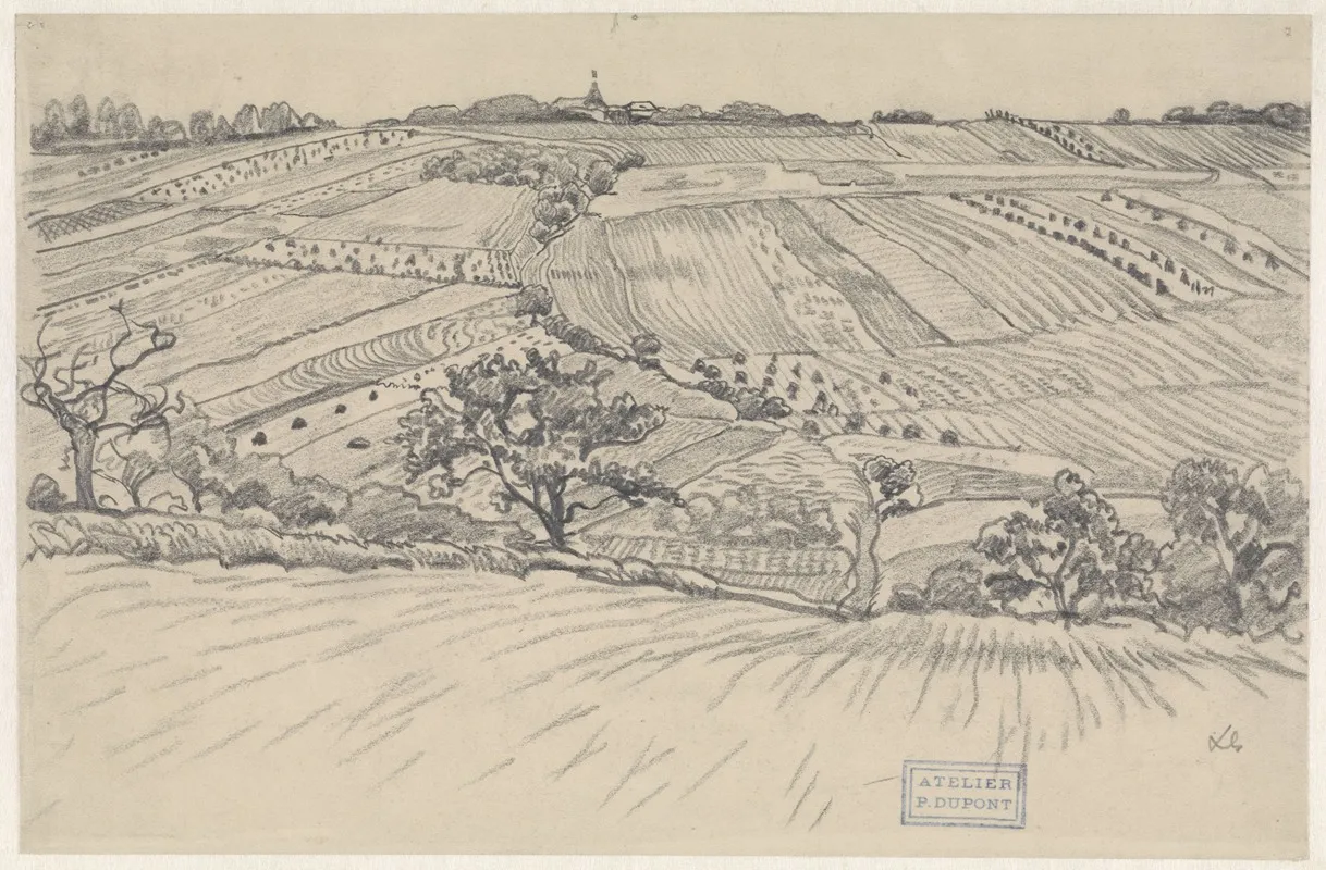 Heuvelachtig Landschap Met Korenvelden