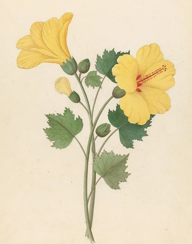 Hibiscus Hibiscus Calyphyllus Wall Art by Clemenz Heinrich Wehdemann - High-Resolution Digital Print