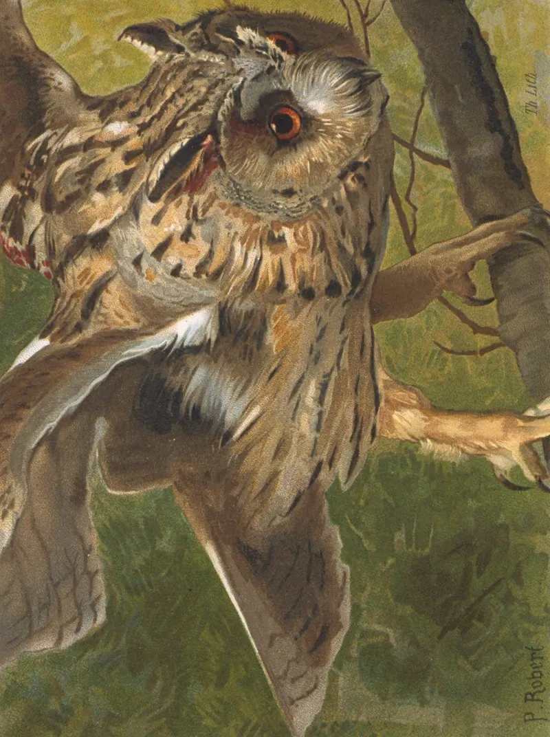 Hibou Wall Art by Léo-Paul Robert - High-Resolution Digital Print