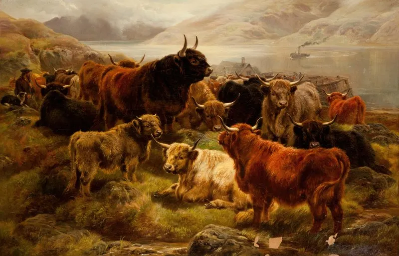 Highland Cattle 2 Wall Art by William R.C. Watson - High-Resolution Digital Print