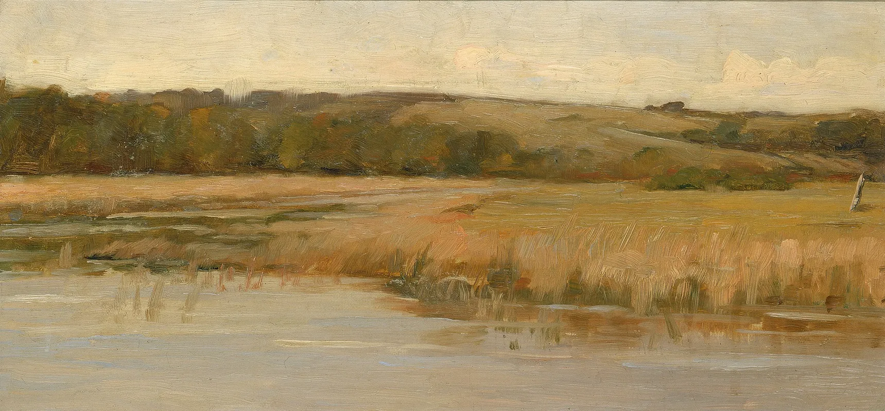 Hill And Marshland 2