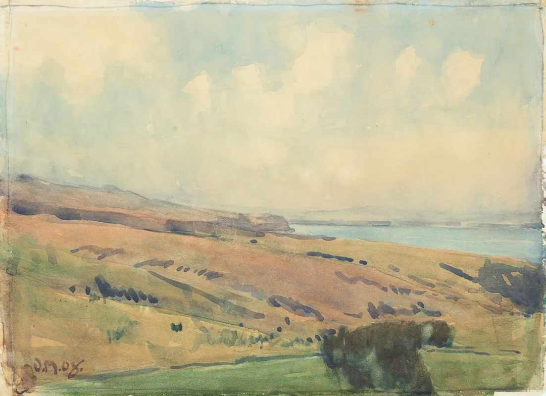 Hill Landscape Near Wellington