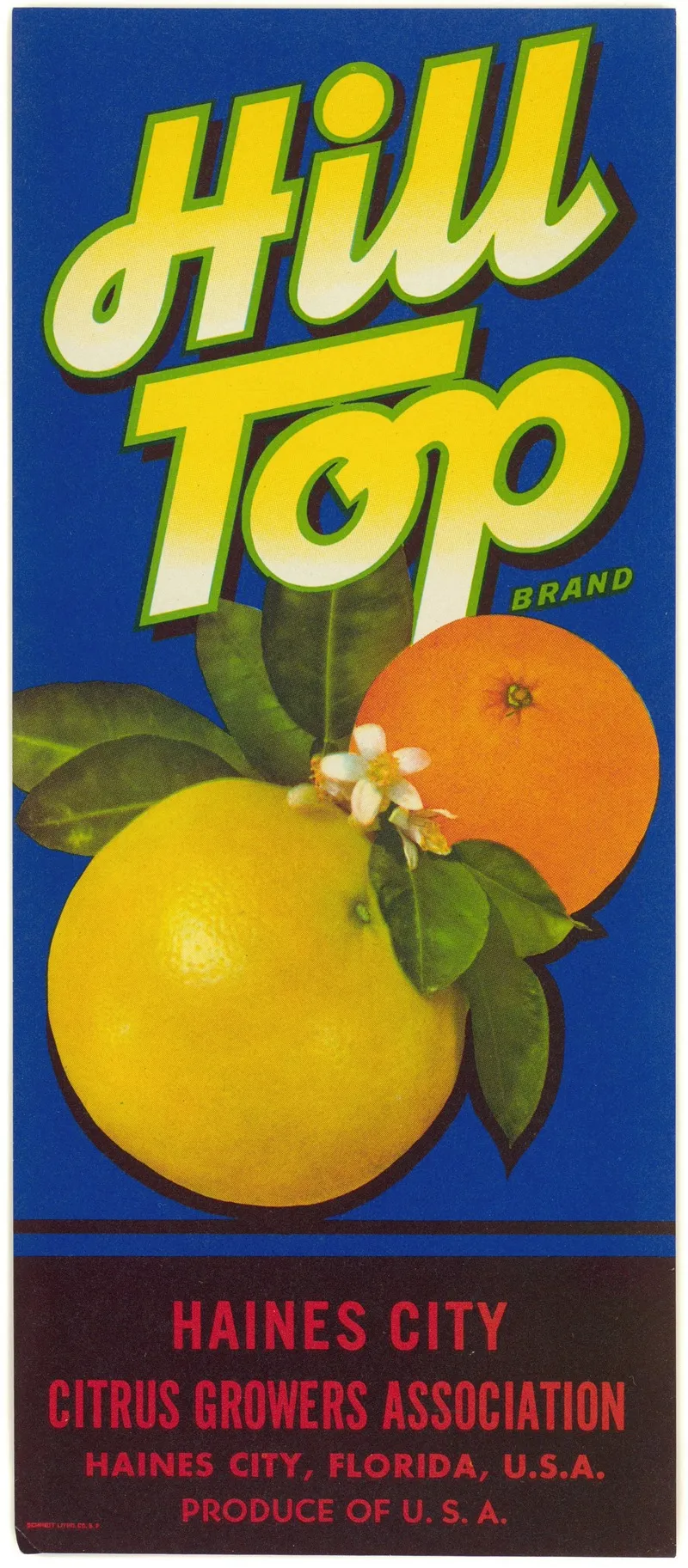 Hill Top Brand Citrus Label Wall Art by Anonymous - High-Resolution Digital Print