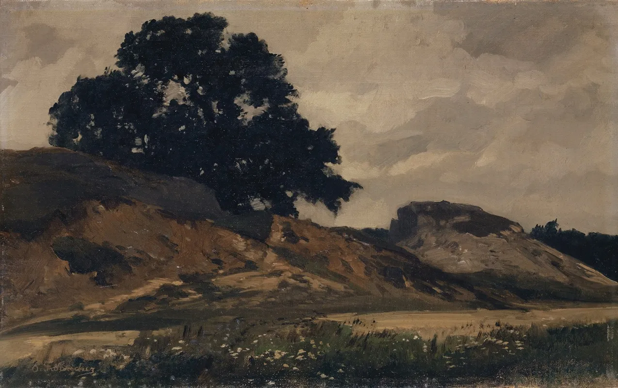 Hilly Landscape With Large Tree