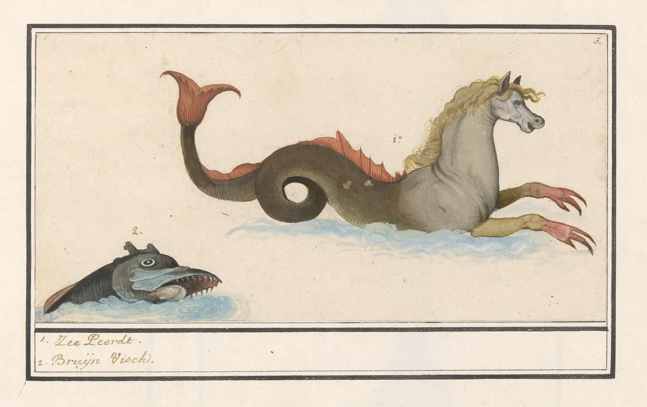 Hippocampus En Vis Fantasiedieren 1 Zee Peerdt 2 Bruijn Visch Wall Art by Anselmus Boëtius de Boodt - High-Resolution Digital Print